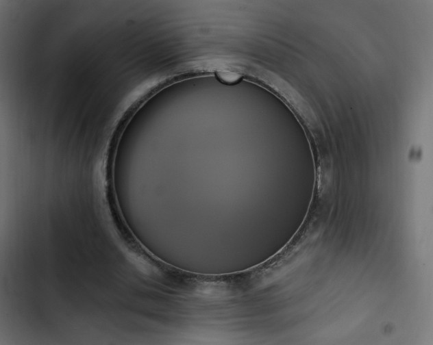 X0000103440438200809121407