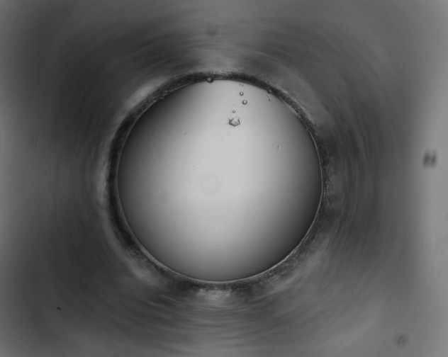 X0000103440440200809121407