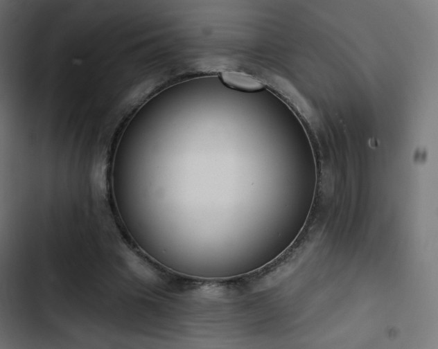 X0000103440441200809121407