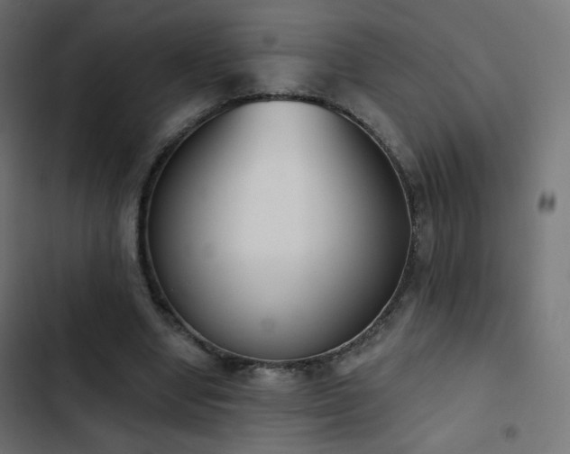 X0000103440442200809121407