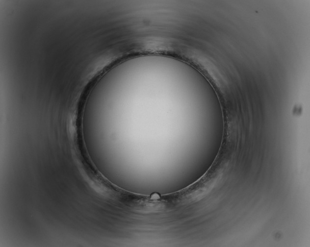 X0000103440443200809121407