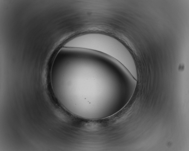X0000103440444200809121407