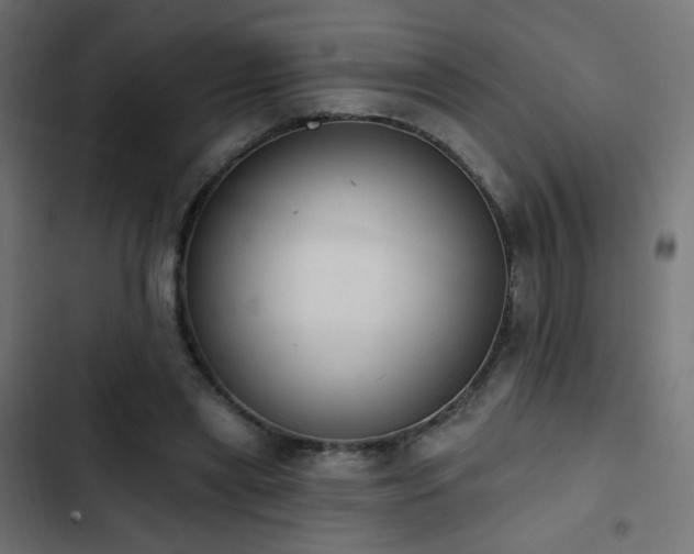 X0000103440445200809121407