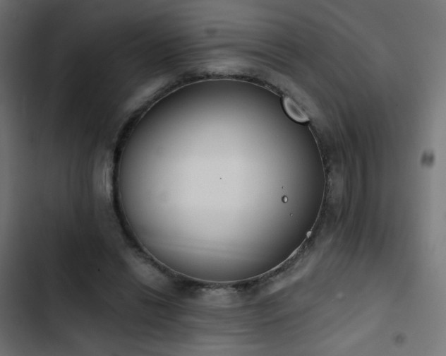 X0000103440446200809121407