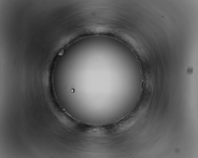 X0000103440447200809121407