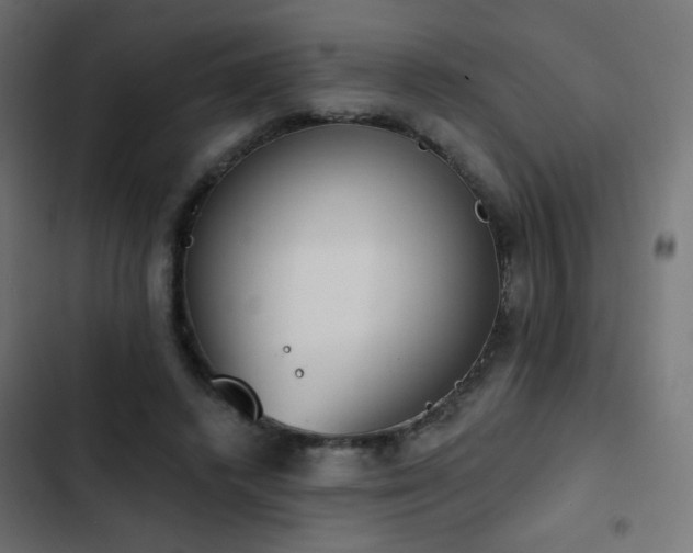 X0000103440448200809121407