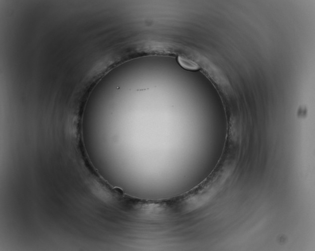 X0000103440449200809121407