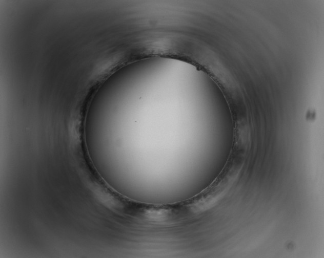 X0000103440450200809121407