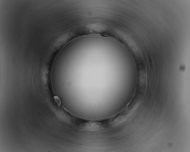 X0000103440451200809121407