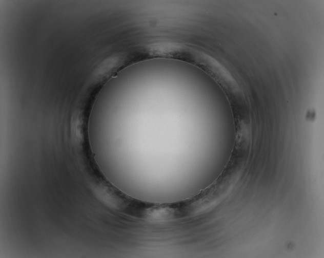 X0000103440452200809121407