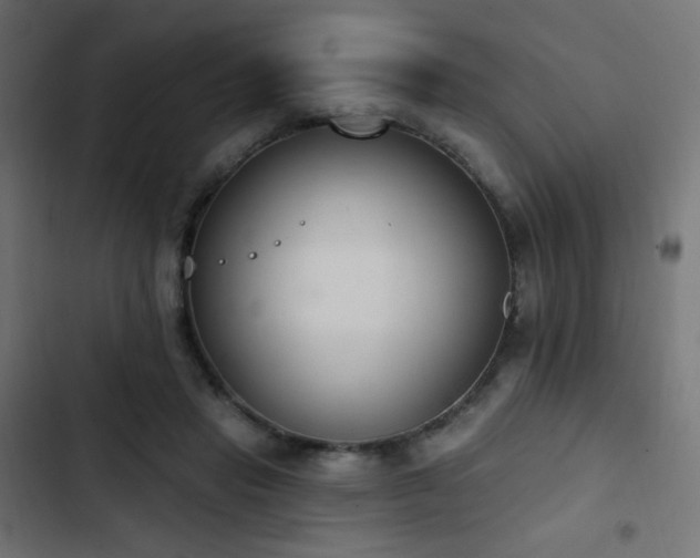 X0000103440453200809121407