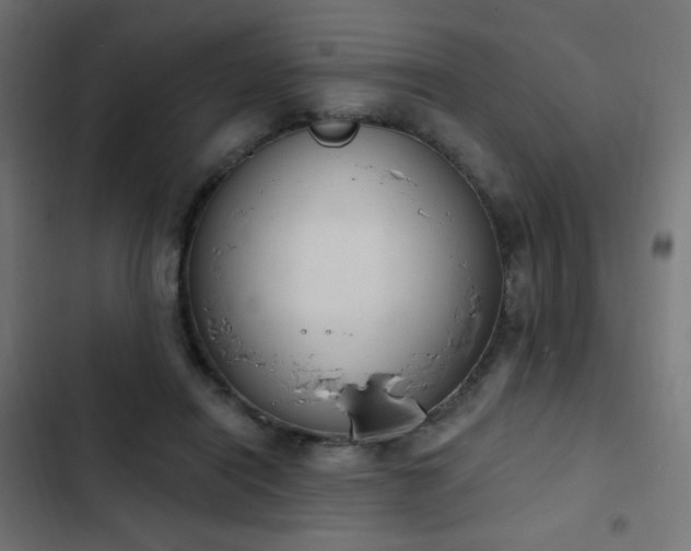 X0000103440454200809121407