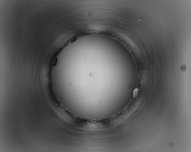 X0000103440455200809121407