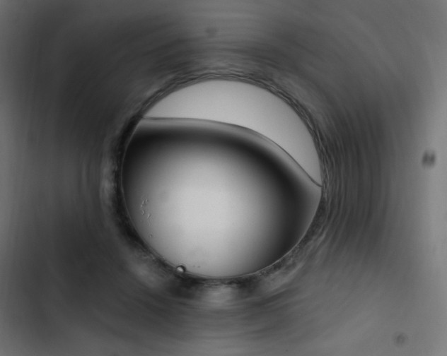 X0000103440456200809121407