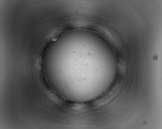 X0000103440458200809121407