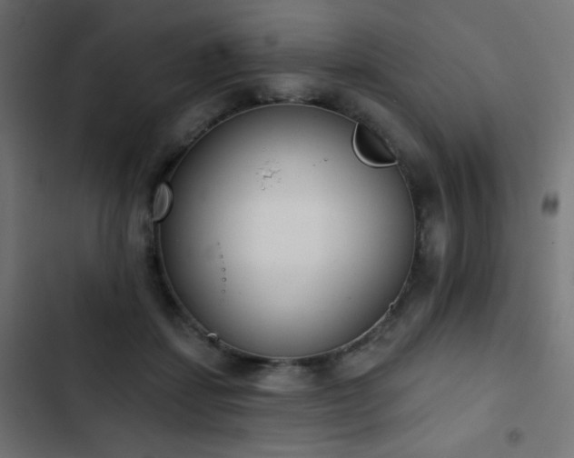 X0000103440459200809121407