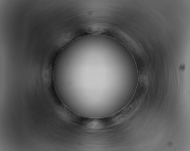 X0000103440460200809121407