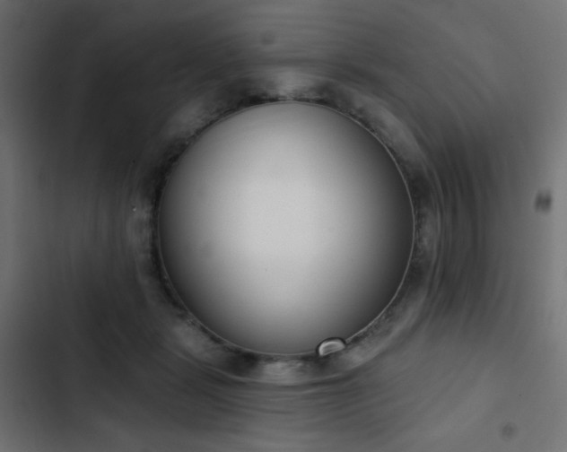 X0000103440461200809121407