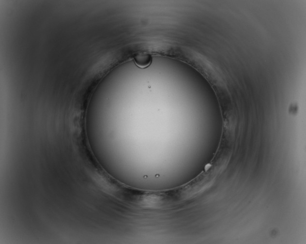 X0000103440462200809121407