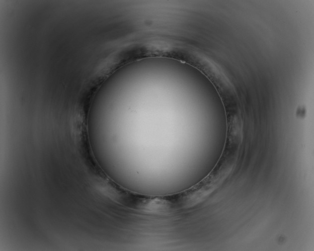 X0000103440463200809121407