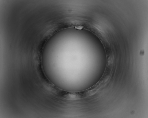 X0000103440464200809121407