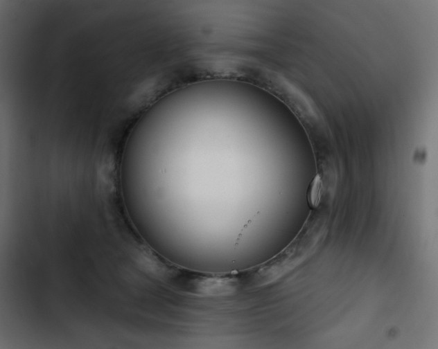 X0000103440465200809121407