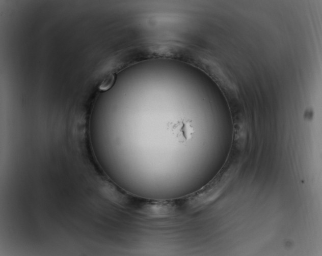 X0000103440466200809121407