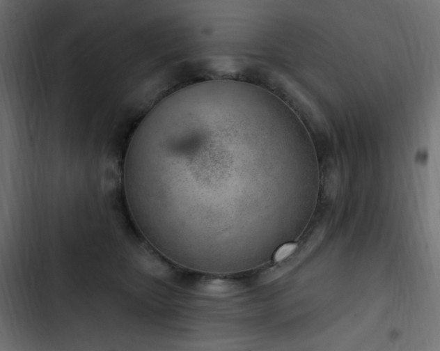 X0000103440467200809121407