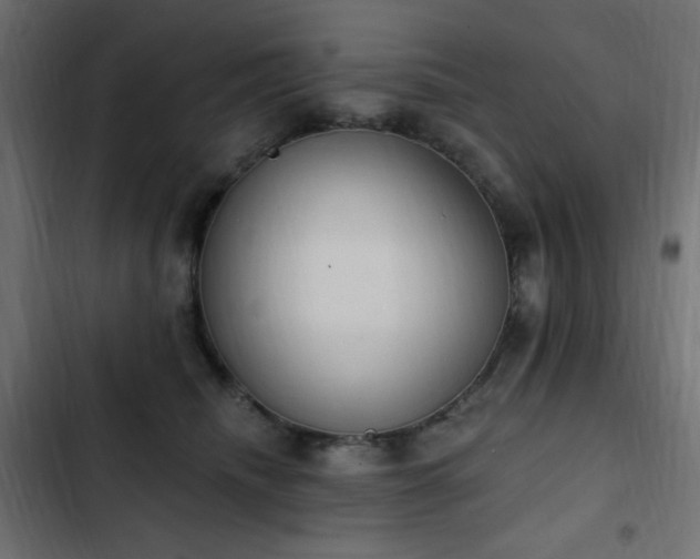 X0000103440468200809121407