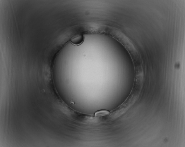 X0000103440469200809121407