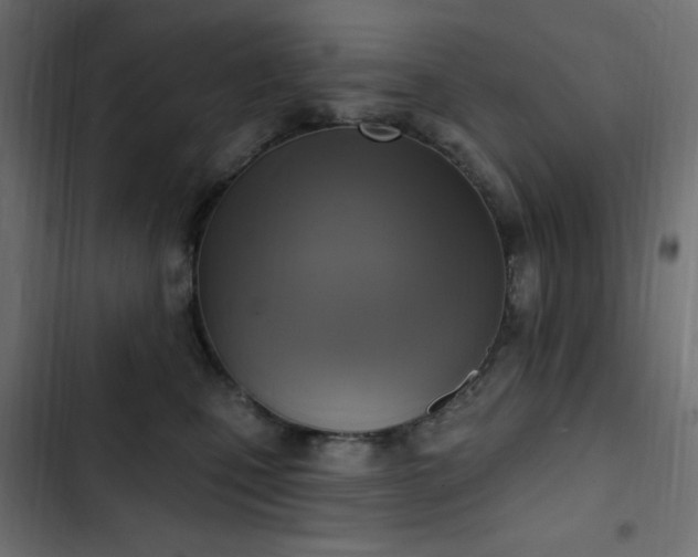 X0000103440471200809121407