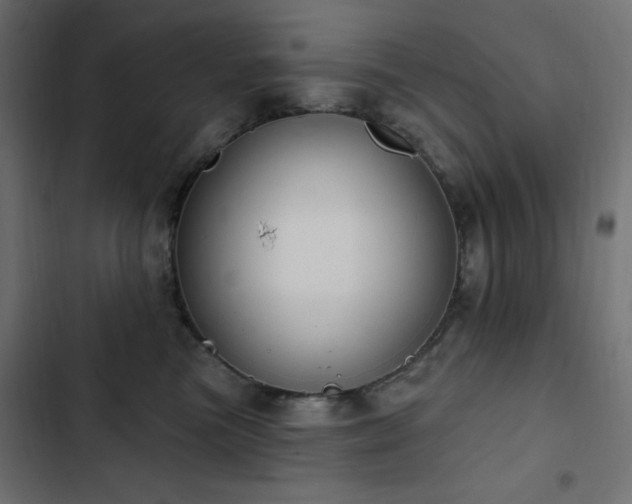 X0000103440473200809121407