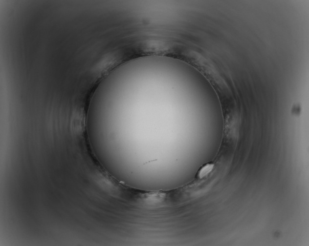X0000103440474200809121407