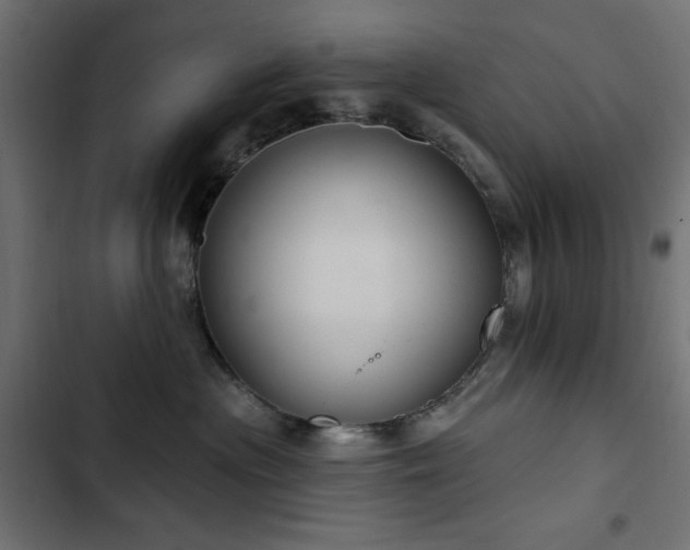 X0000103440477200809121407