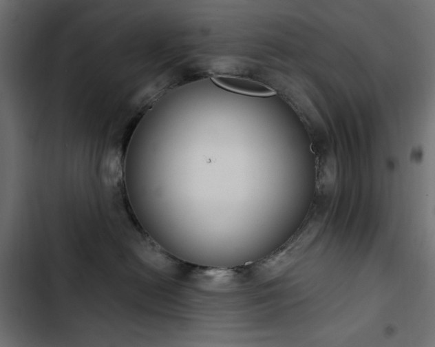X0000103440478200809121407
