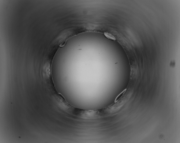 X0000103440479200809121407