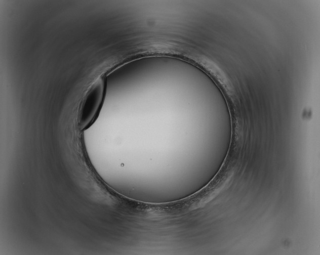 X0000103440481200809121407