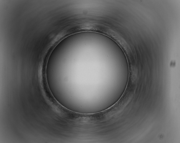 X0000103440482200809121407