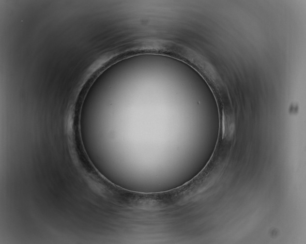 X0000103440483200809121407
