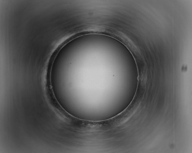 X0000103440484200809121407