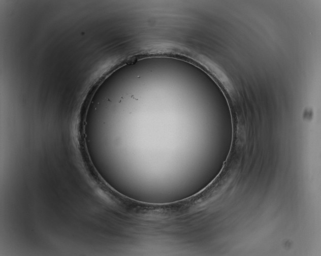 X0000103440485200809121407