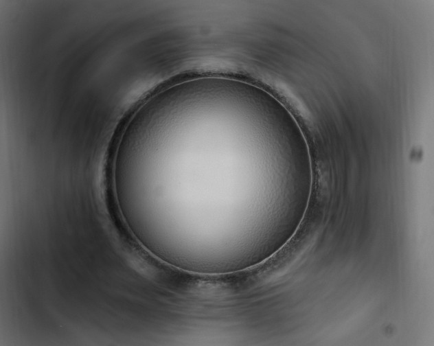 X0000103440487200809121407