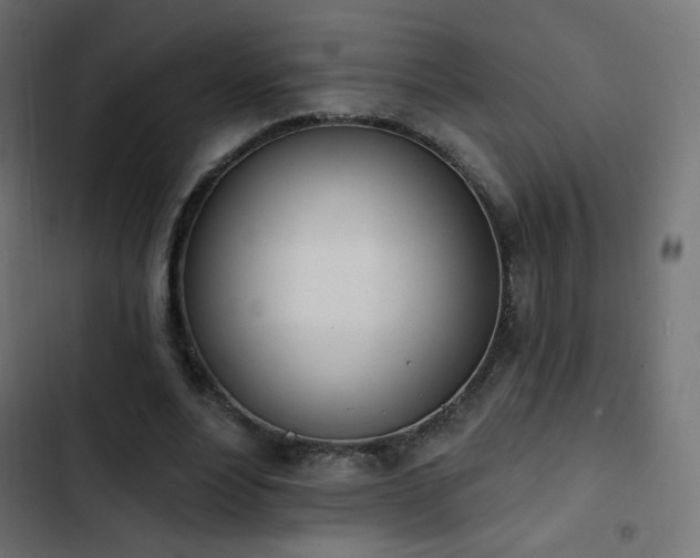 X0000103440488200809121407