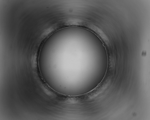 X0000103440489200809121407