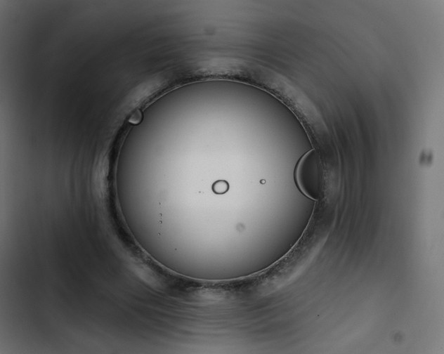X0000103440490200809121407