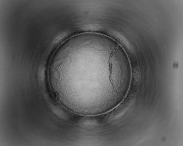 X0000103440491200809121407