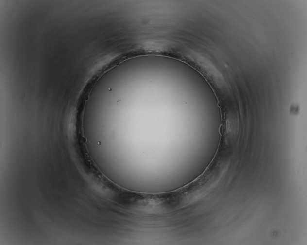 X0000103440492200809121407