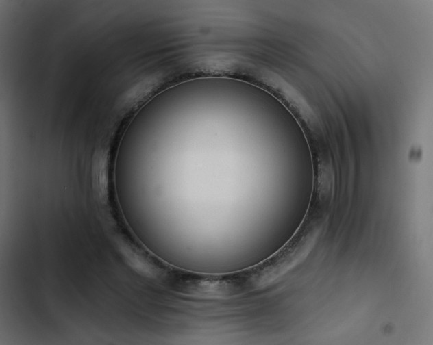 X0000103440493200809121407