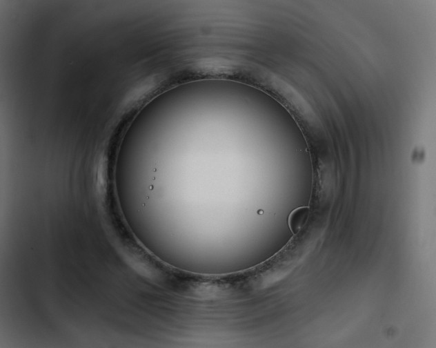 X0000103440494200809121407