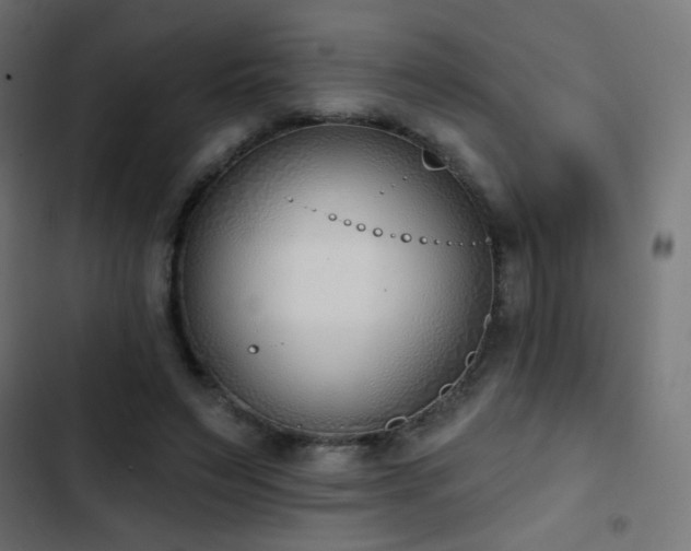 X0000103440495200809121407